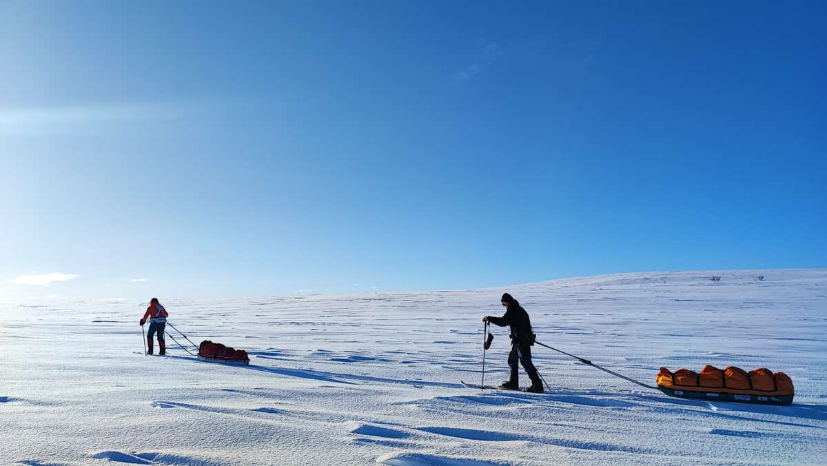 Finnmark ski pulka