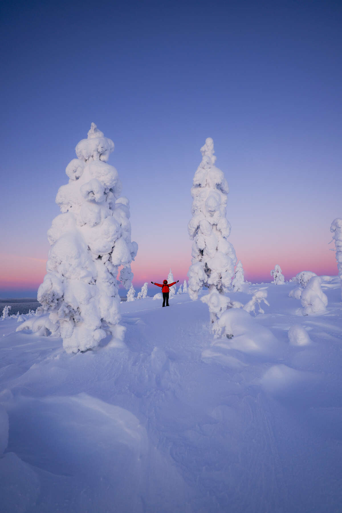 La Laponie sous des mètres de neige et ciel rosé