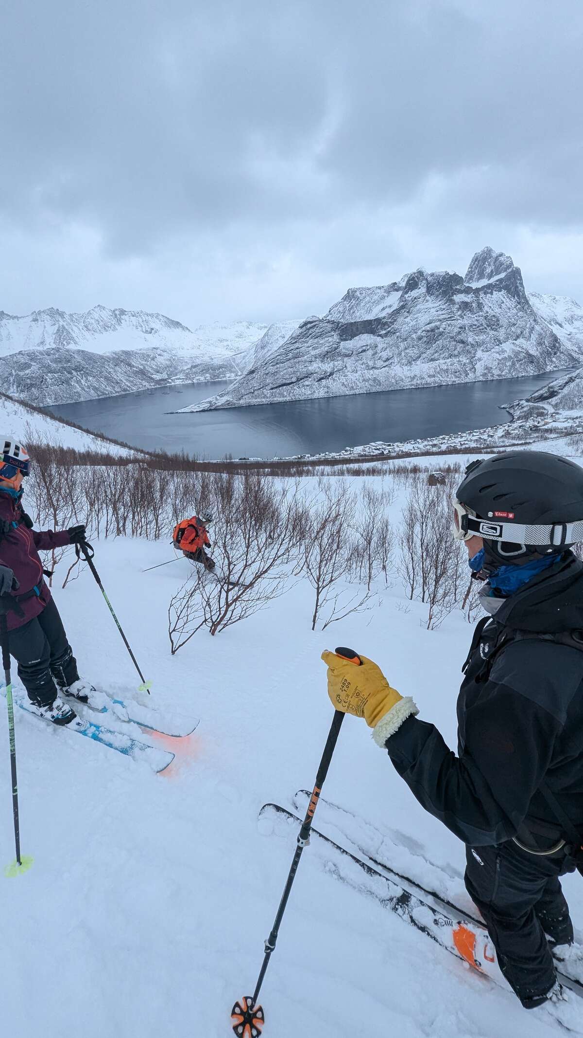 Norvège Hiver Senja Ski
