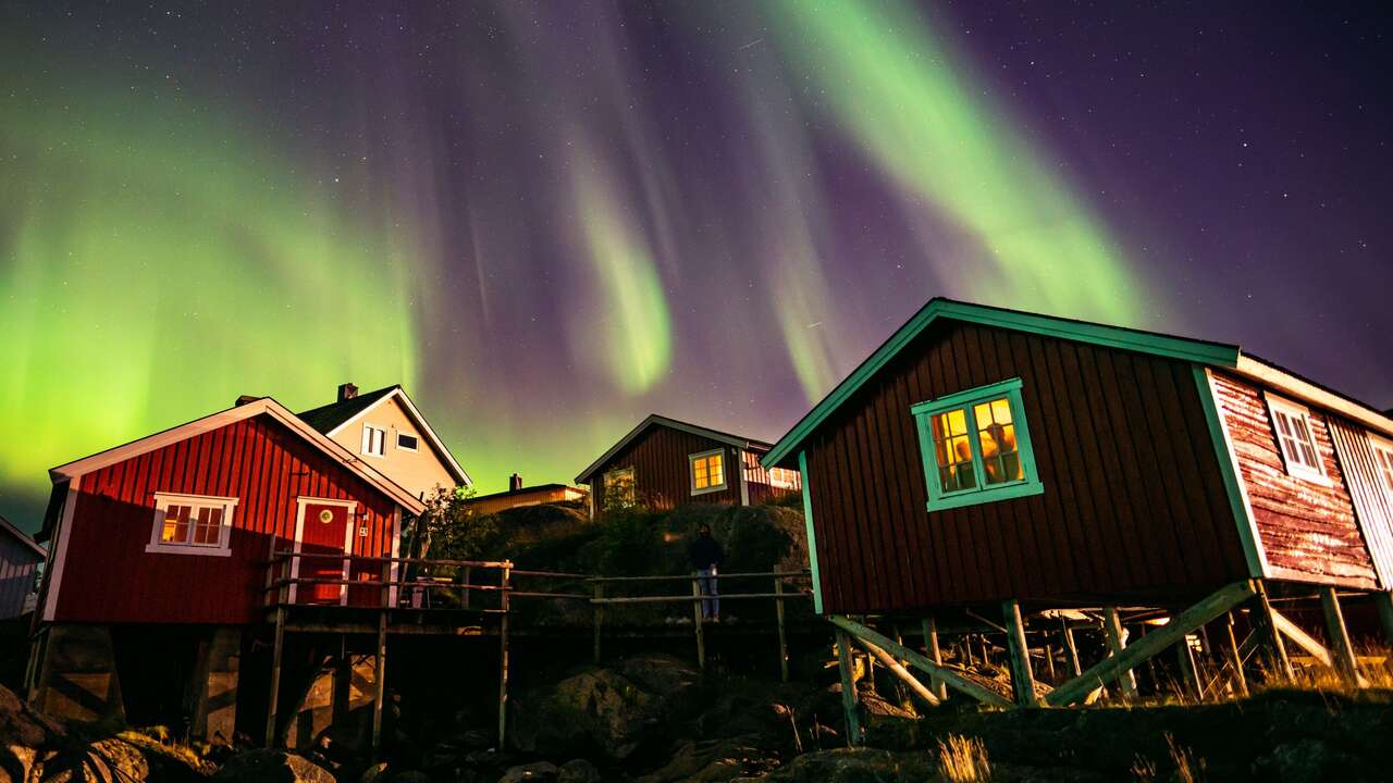 Aurores boréales dans les Lofoten