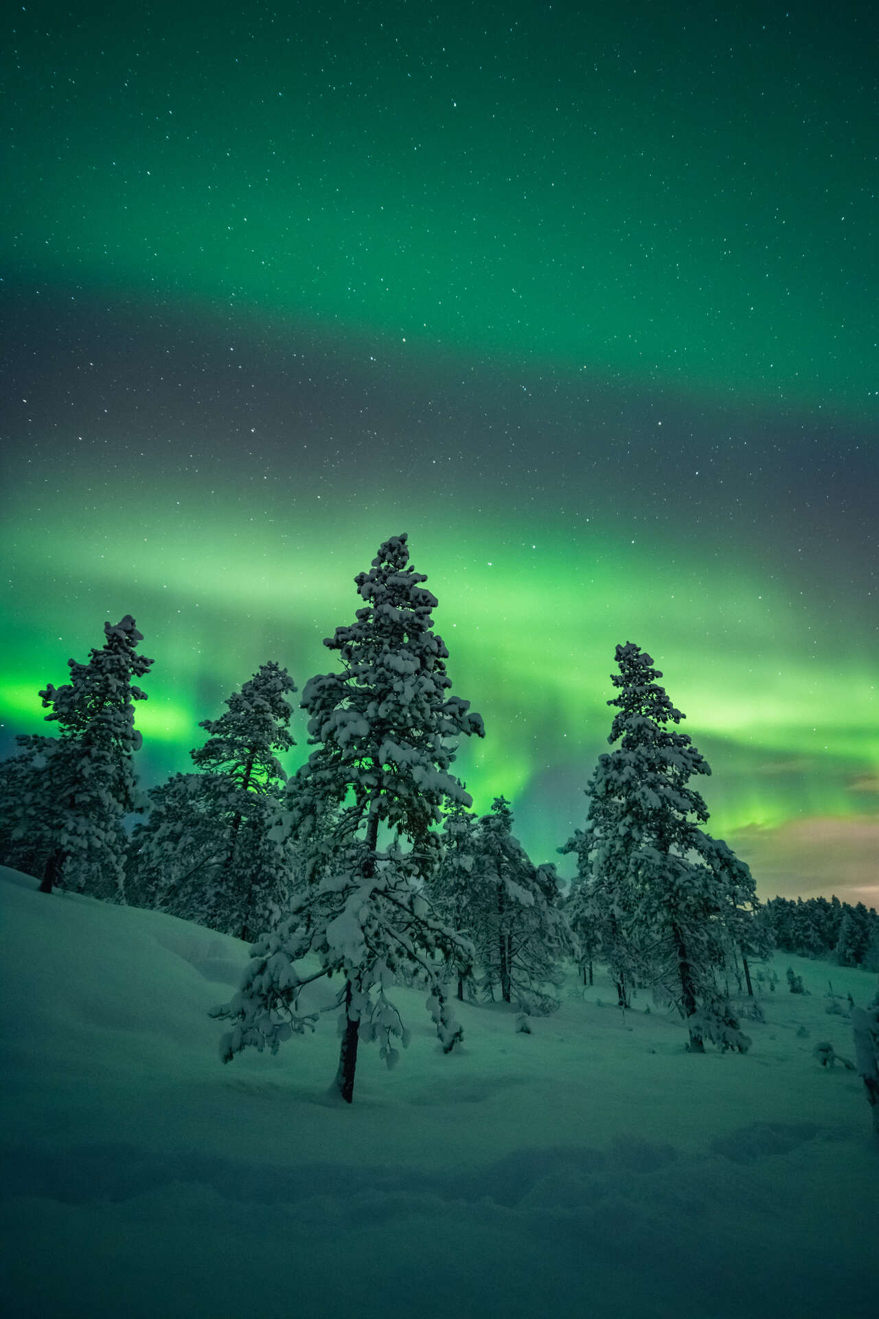 Aurores boréales en Norvège
