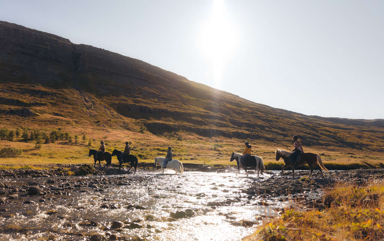 Balade à cheval dans les fjords de l'Ouest