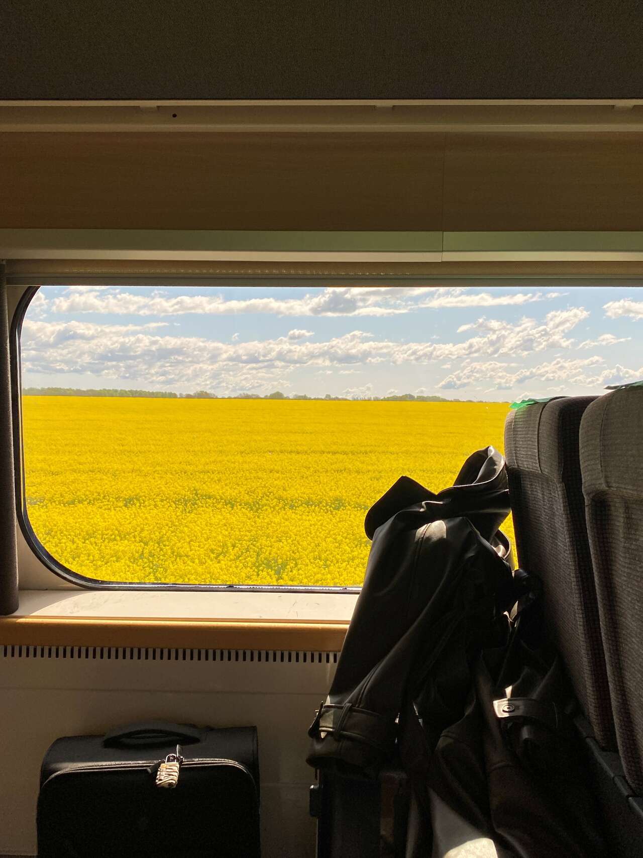 Campagne suédoise par la fenêtre d'un train