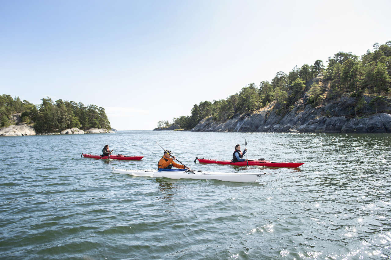 Kayakistes dans l'archipel de Stockholm