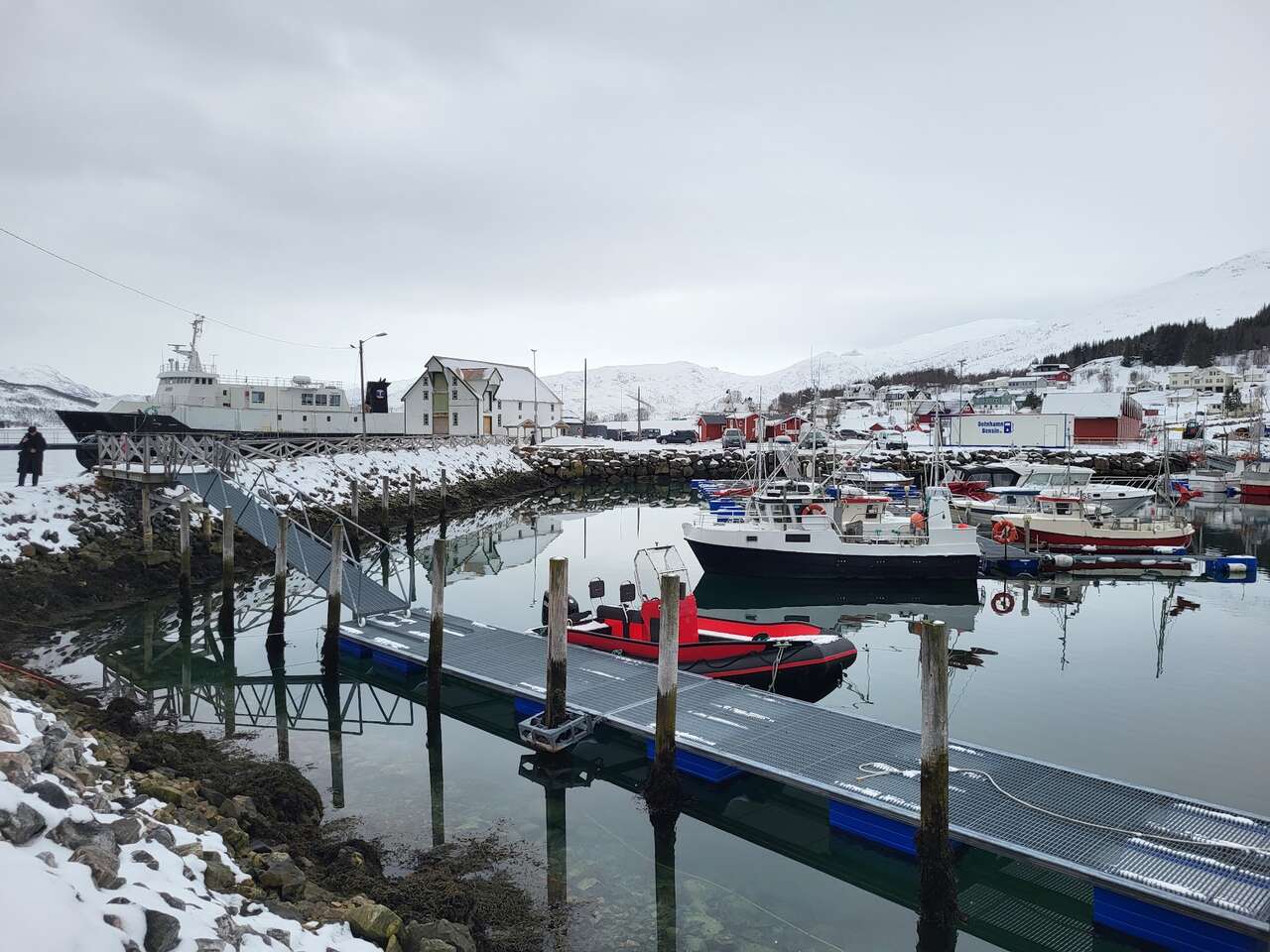 Norvège Senja Raquettes
