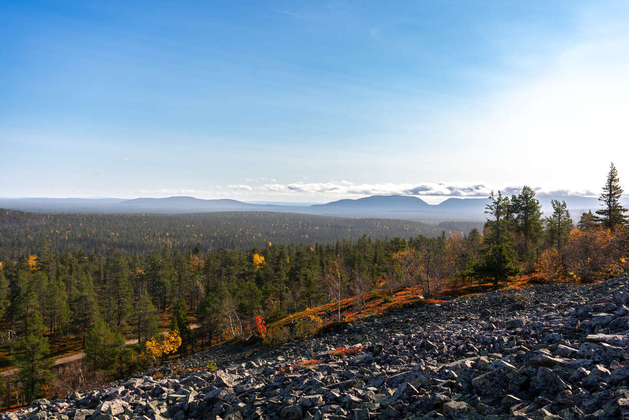 Randonnée dans le parc national en Finlande