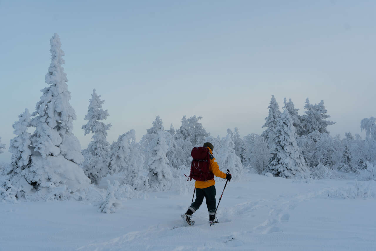 Randonnée en raquettes en Finlande