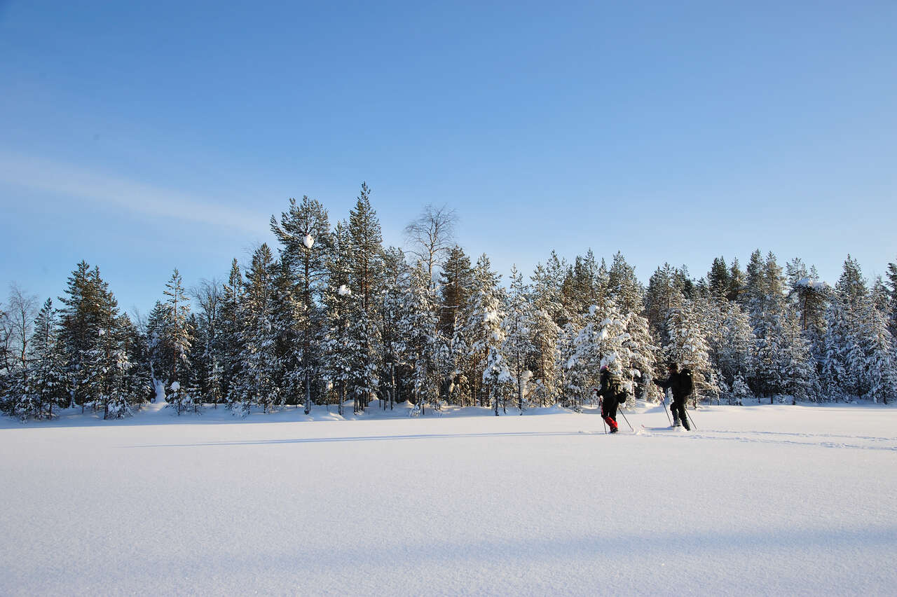 ski randonnée nordique  Finlande