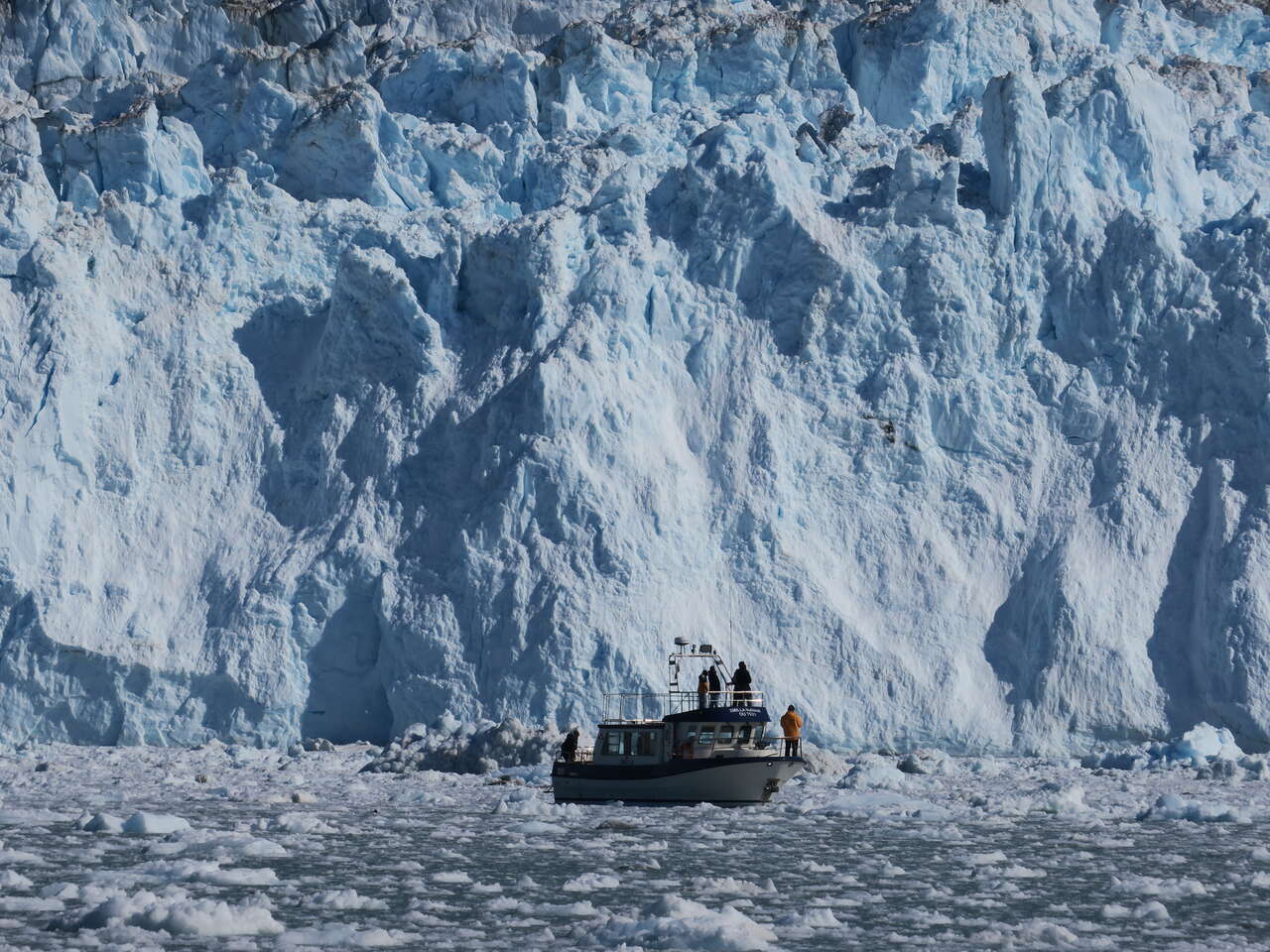 Sortie bateau au plus proche des icebergs
