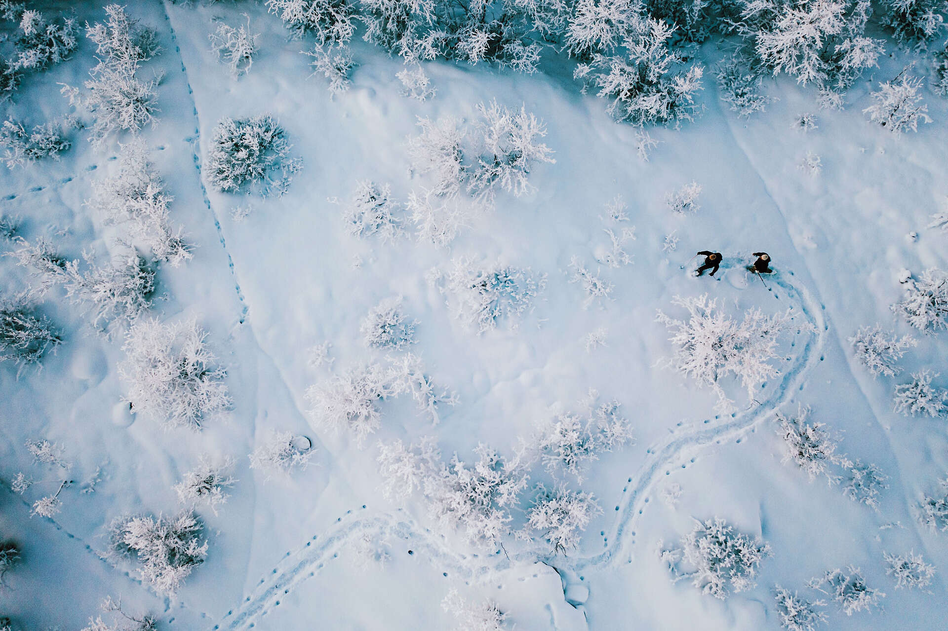 Activité raquettes vue du ciel en Laponie suédoise
