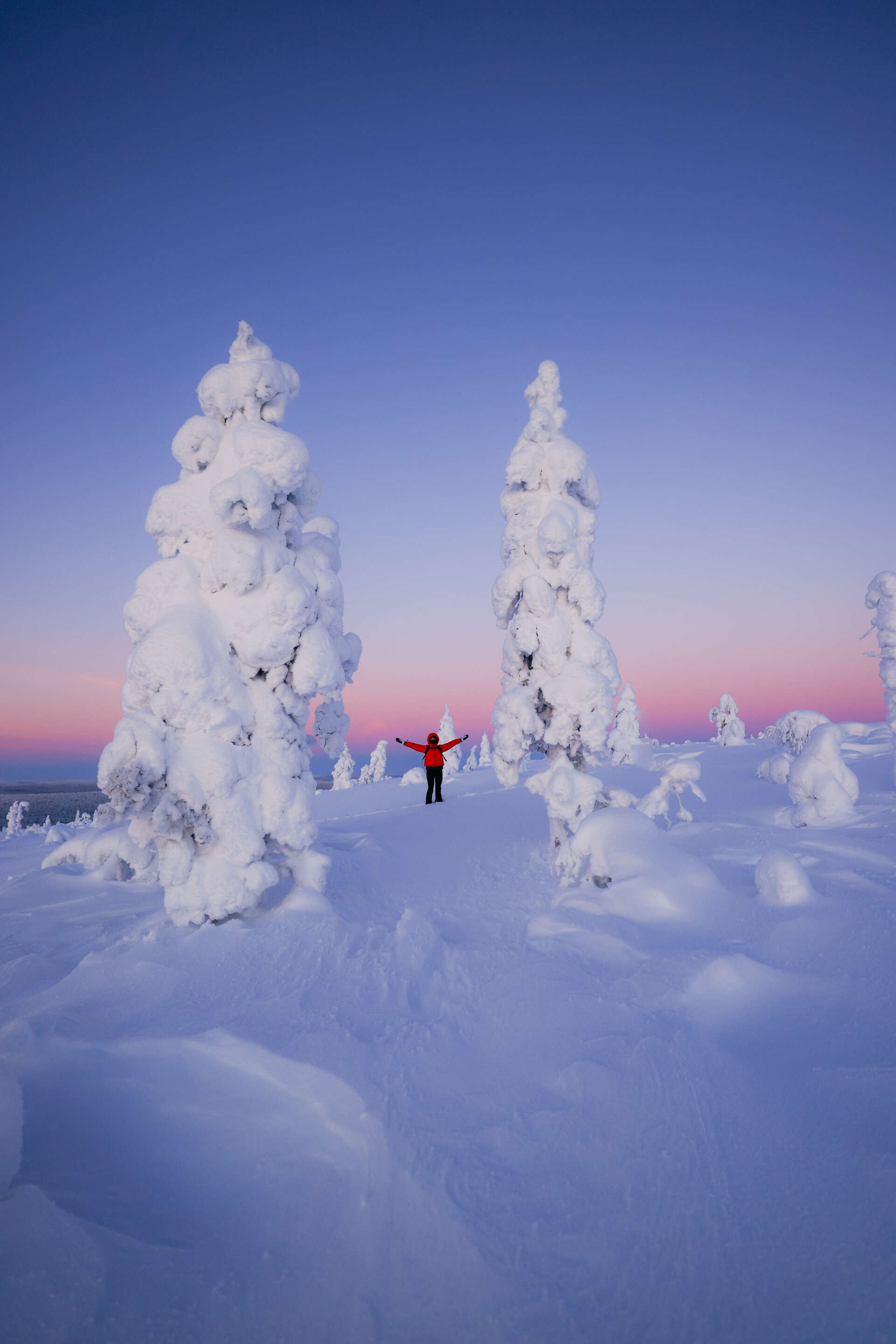 La Laponie sous des mètres de neige et ciel rosé