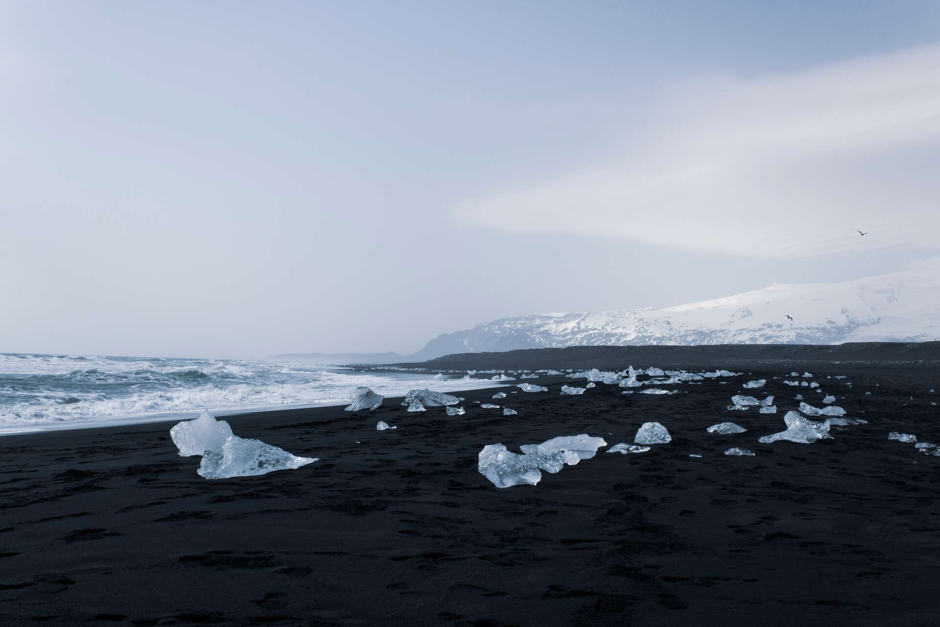 Morceaux de glace échoués sur une plage de sable noir