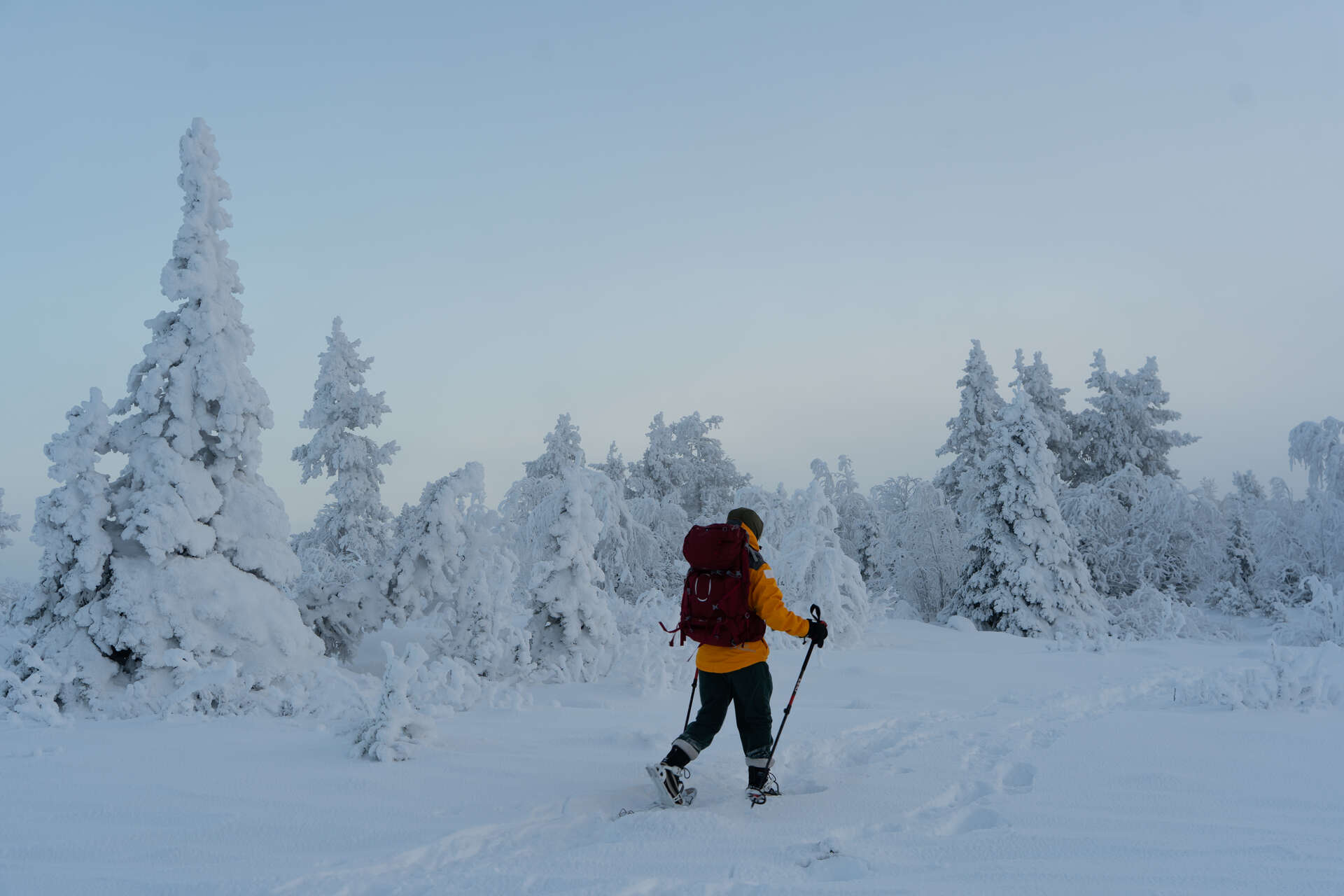 Randonnée en raquettes en Finlande