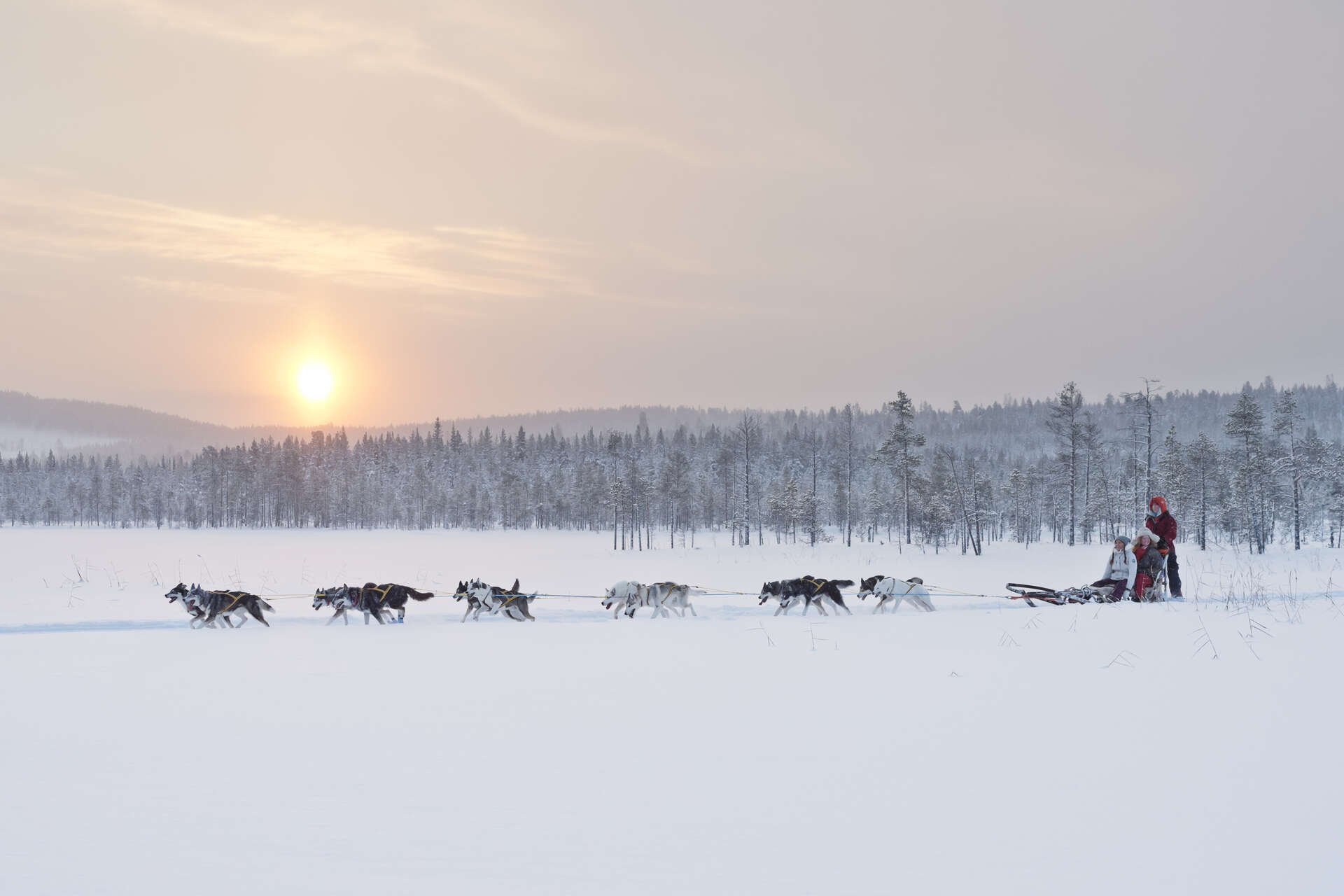 Traineau à chien sur un lac gelé